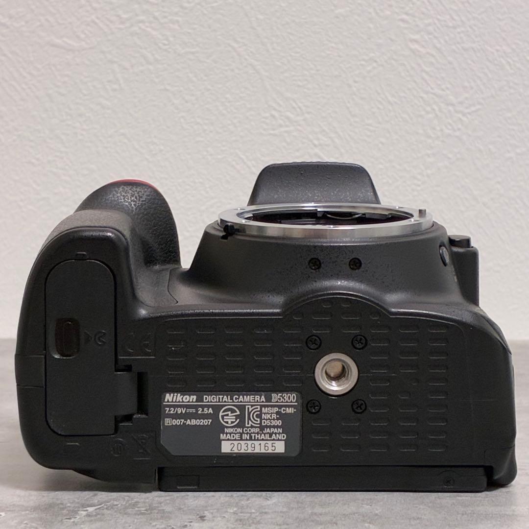 ⭐️美品⭐️ニコン Nikon D5300 & ダブルズームレンズキット