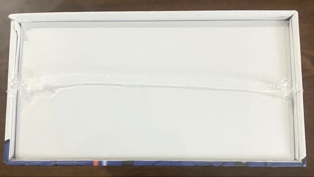 新品未開封 星街すいせい AINIMA ANW01-MGO ワイヤレスイヤホン