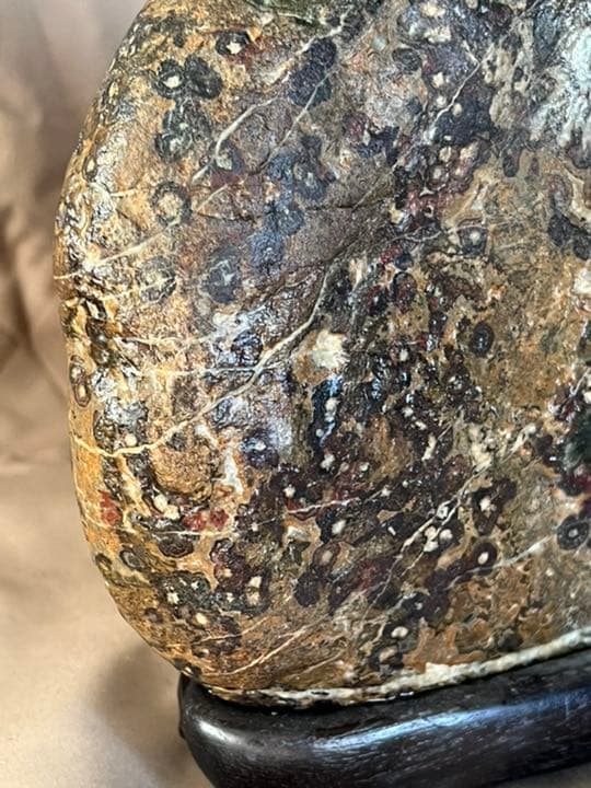 岐阜県根尾谷の天然菊花石＆紅孔雀石