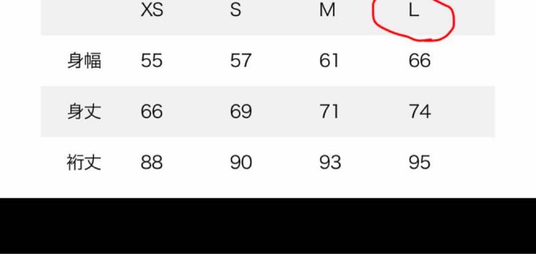 新品未使用　patagonia パタゴニア　イスマスデックジャケット