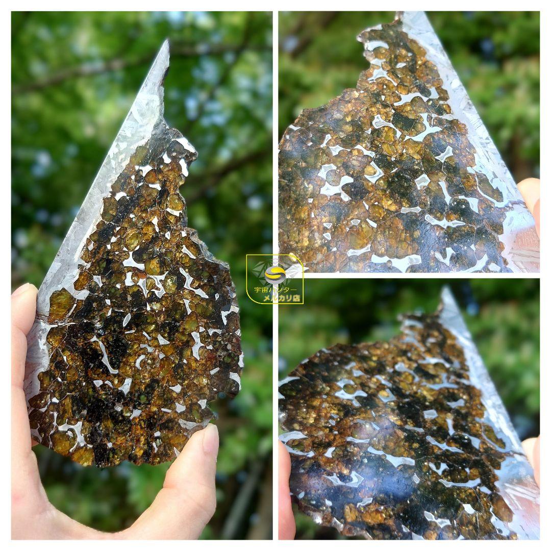 隕石 セイムチャン パラサイト 117.3g ⭐