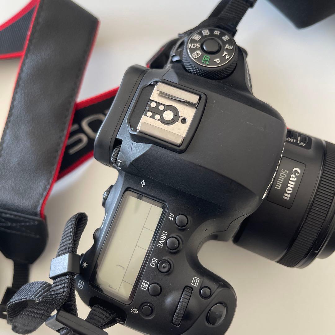 Canon EOS 6D Mark II レンズ2個セット　キャノン