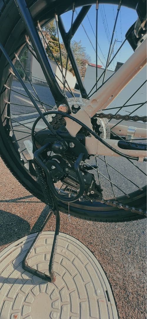 引き取り(鎌倉市)限定。Peltech(ペルテック)電動アシスト自転車E-カーゴ