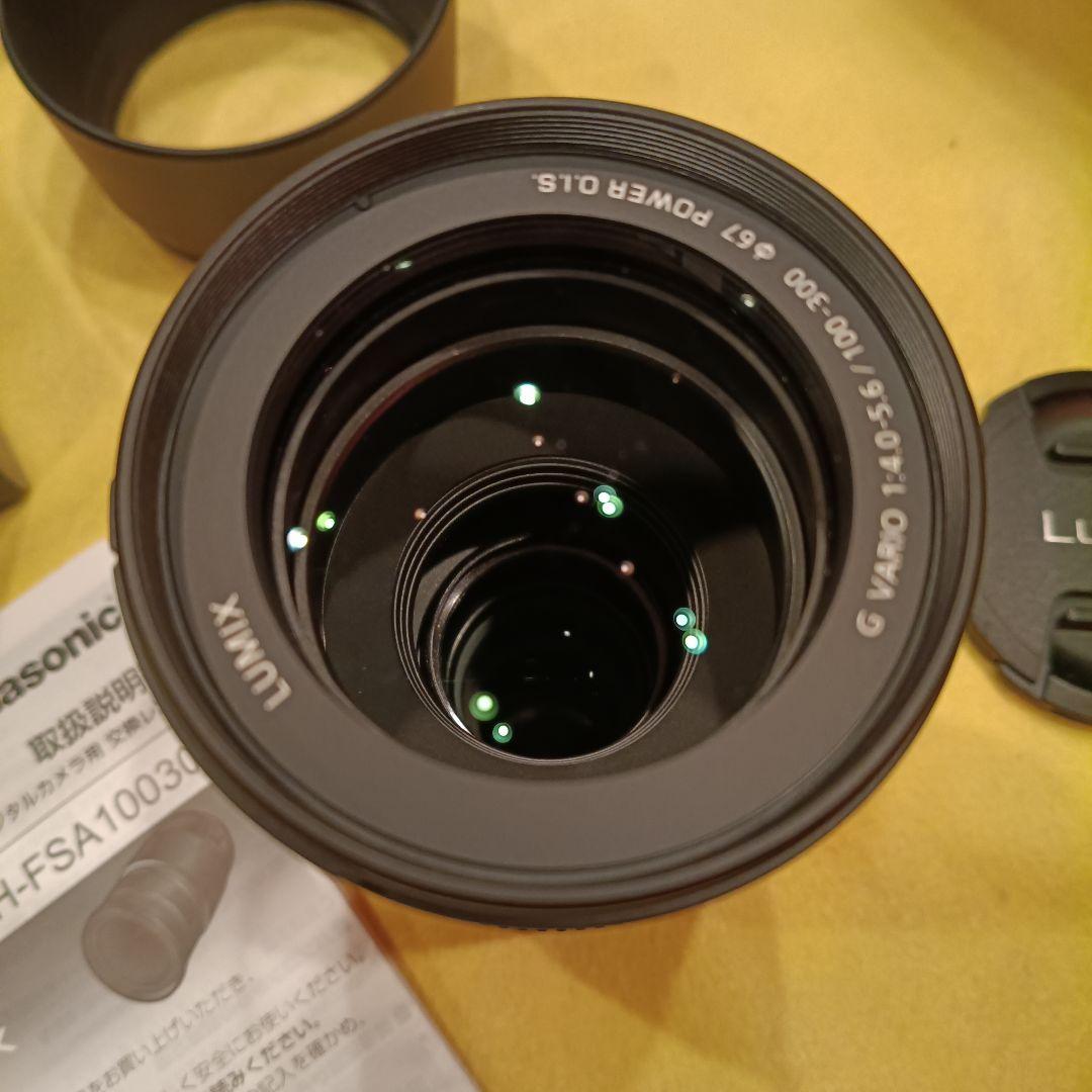 レンズ(ズーム) LUMIX G VALIO 100-300mm F4.0-5.6 II