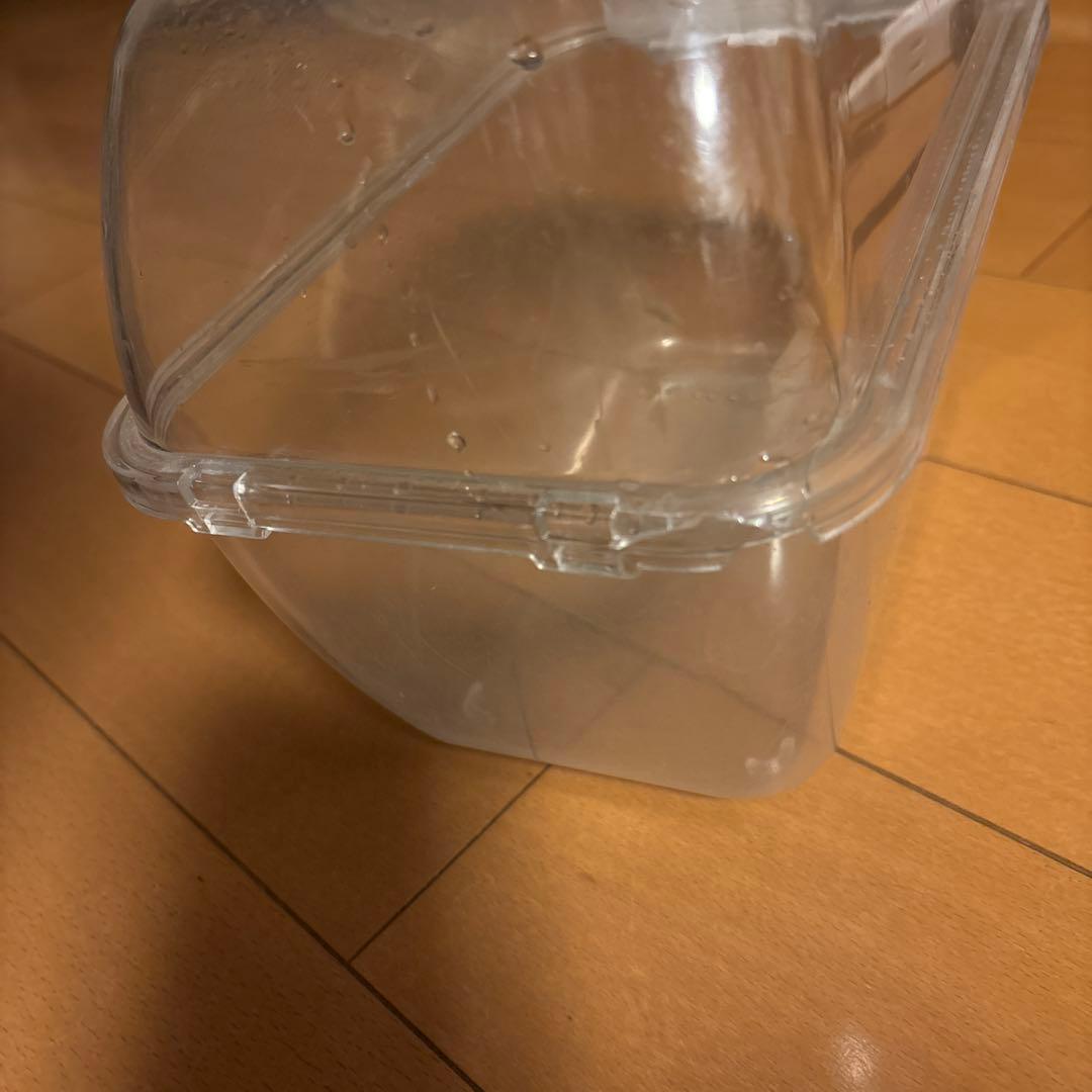 イージーホーム40ハイ・色々セット、おまけ砂浴び