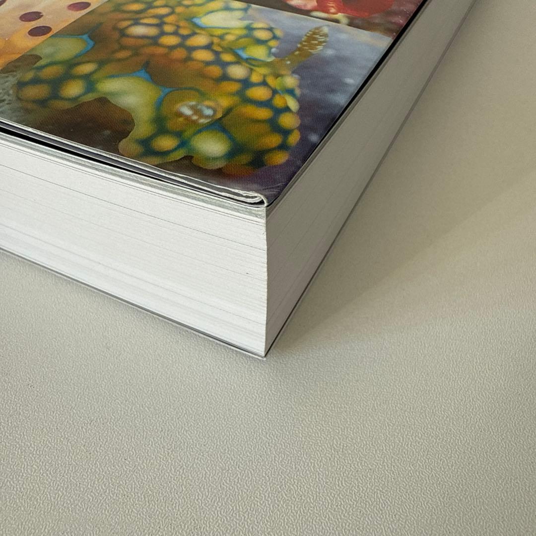 新版　ウミウシ 特徴がひと目でわかる図解付き 1260種