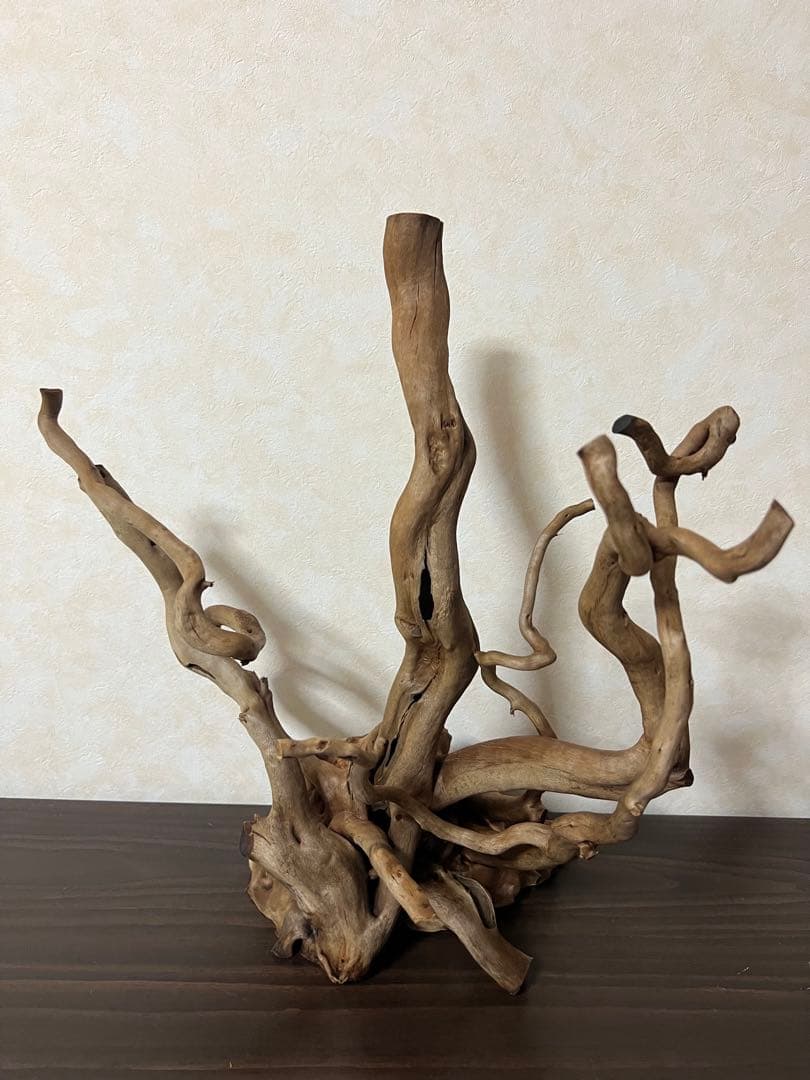 50508 ブランチウッド　流木　アクアリウム 沈水確認済