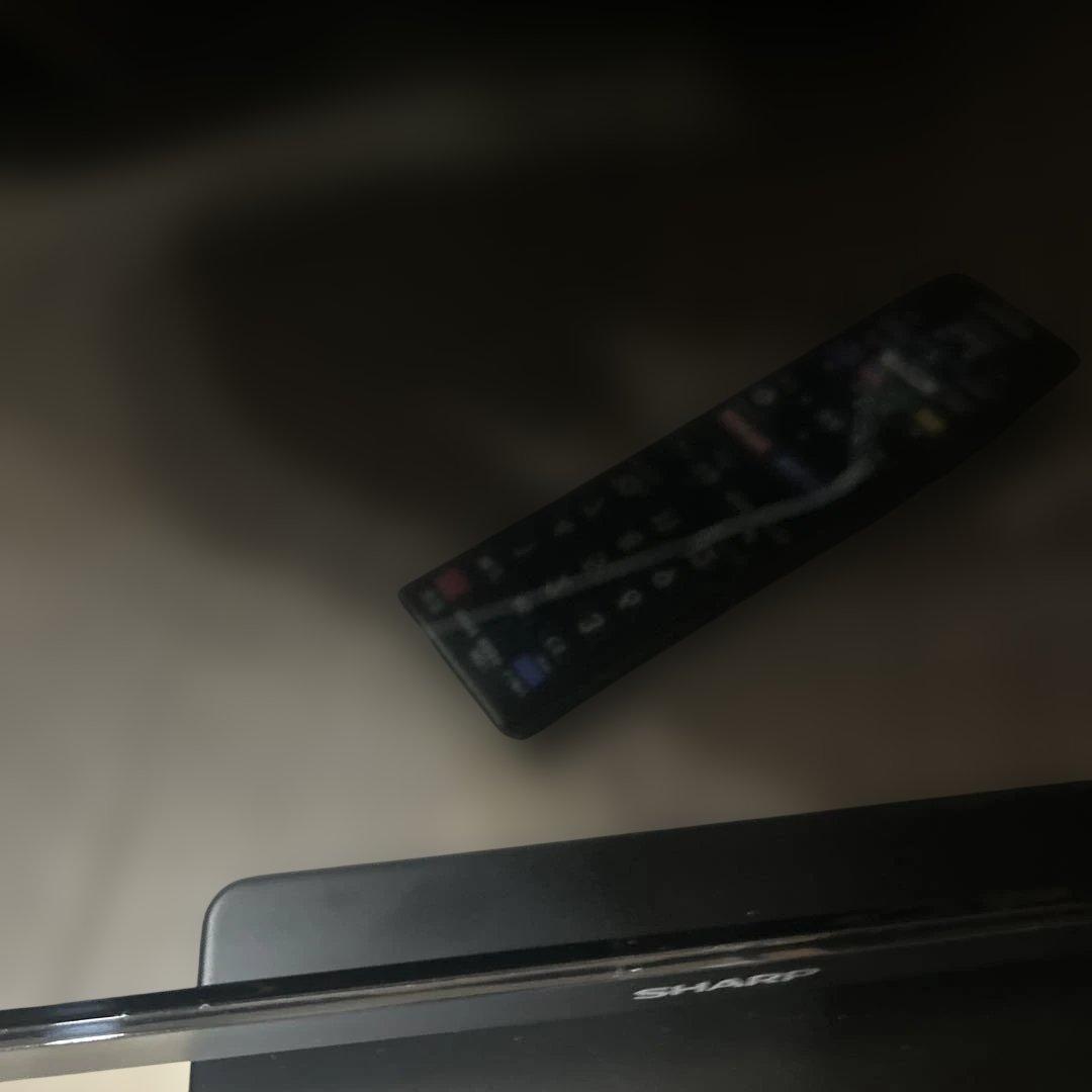 シャープ 19V型 液晶 テレビ AQUOS 2T-C19DE-B 動作良好