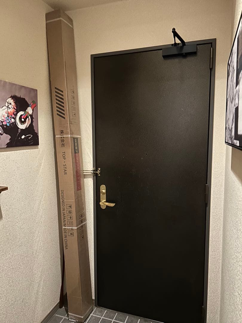 TOP STAR プロジェクタースクリーン 100インチ 16:9