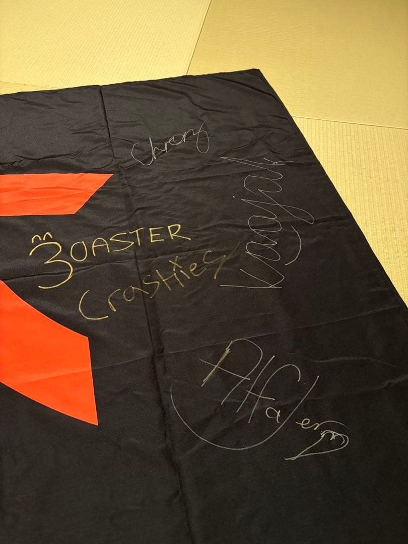 【即日発送】FNATIC 応援FLAG（サイン入り）