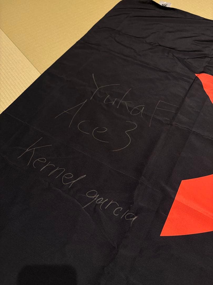 【即日発送】FNATIC 応援FLAG（サイン入り）