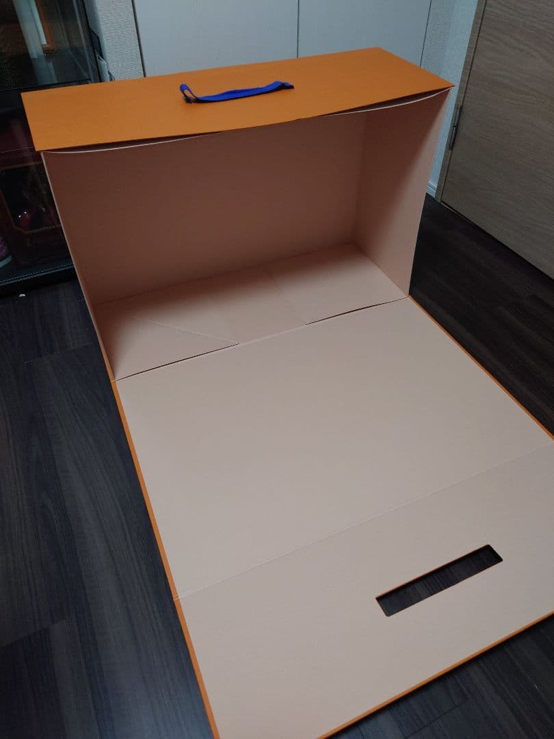 LOUIS VUITTON 箱　BOX ビッグ