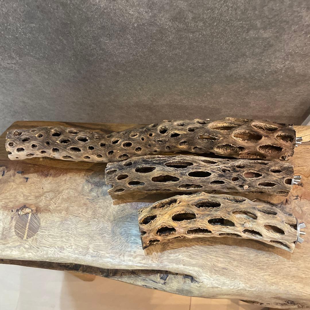 【まるさん専用】オーダーメイドカクタスパーチ相談ページ