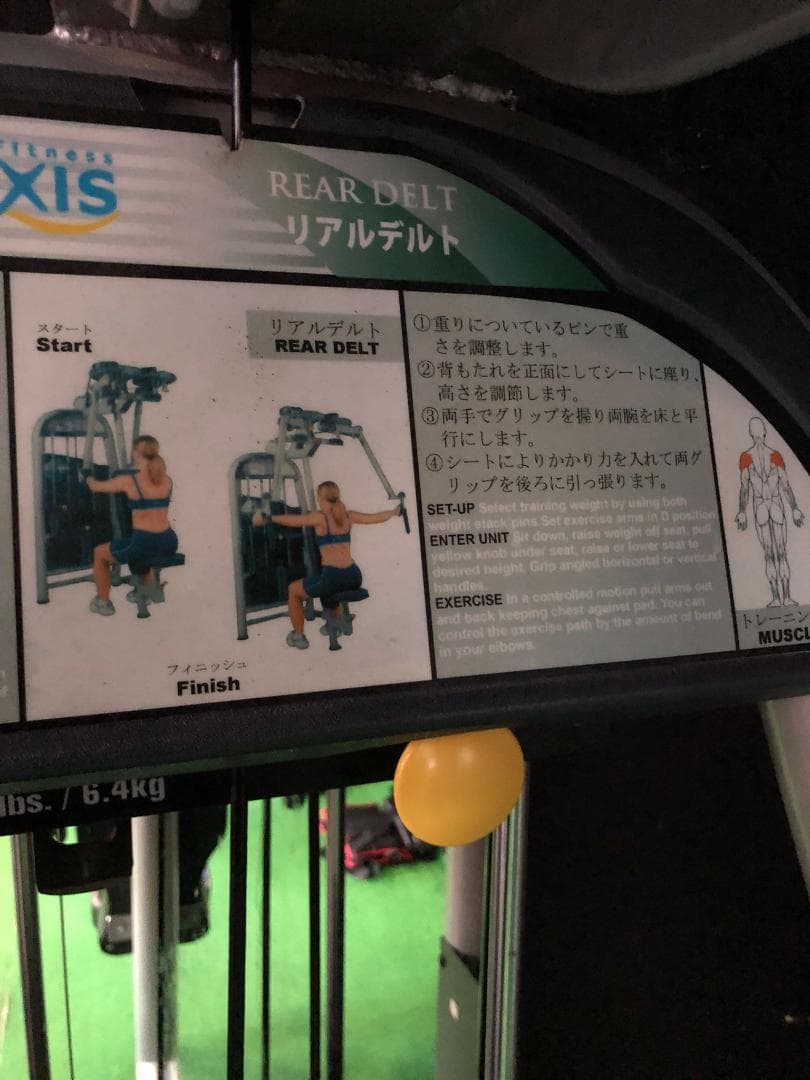 ウエイトトレーニング Pectoral and Rear Delt