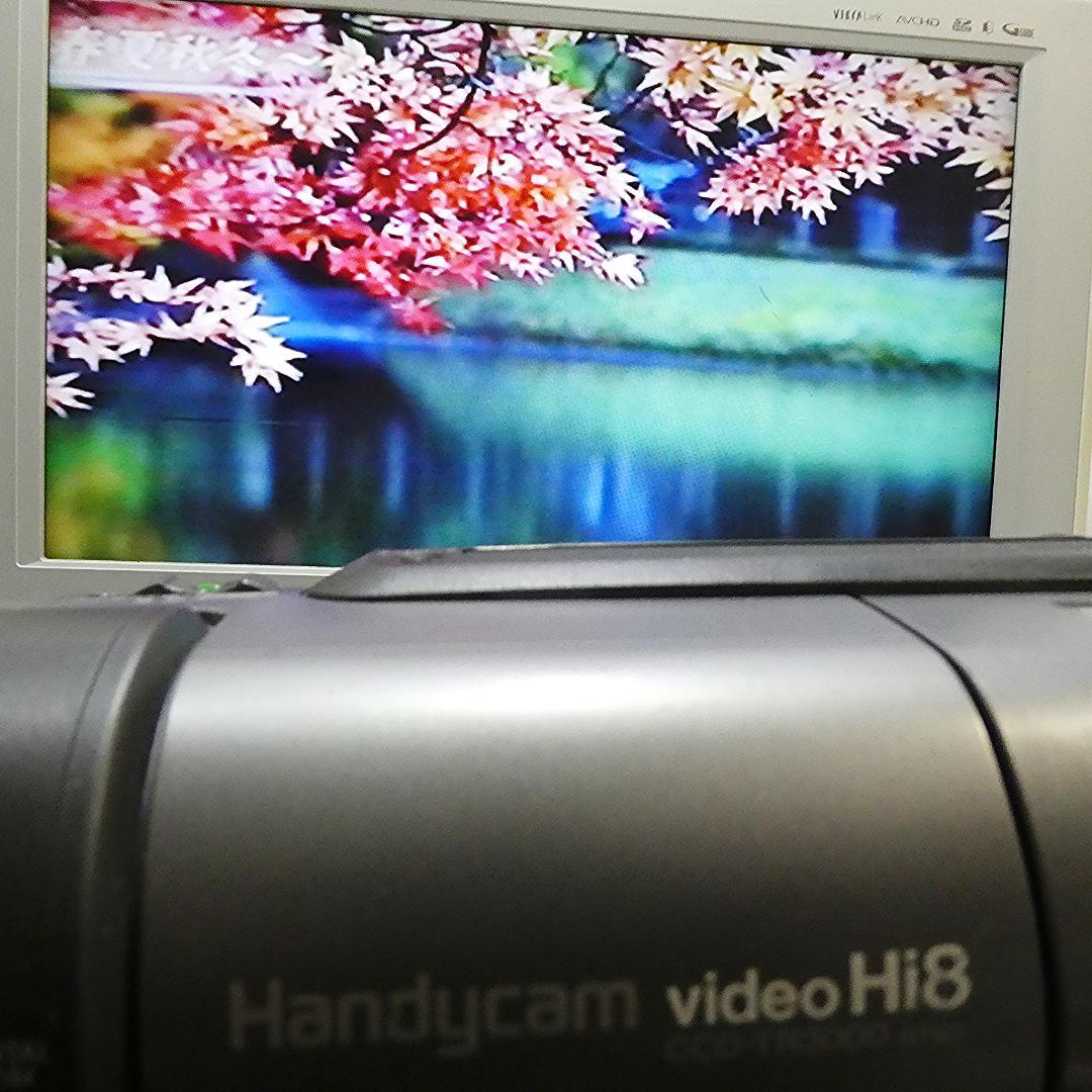 動作良好 ソニーVideoHi8 CCD-TR3000 8ミリビデオ　DVD化に