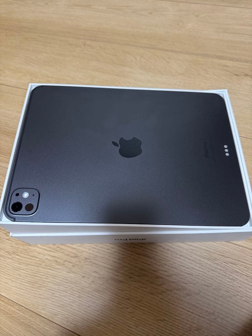 iPad Pro 11 (M4) Apple pencil pro付き
