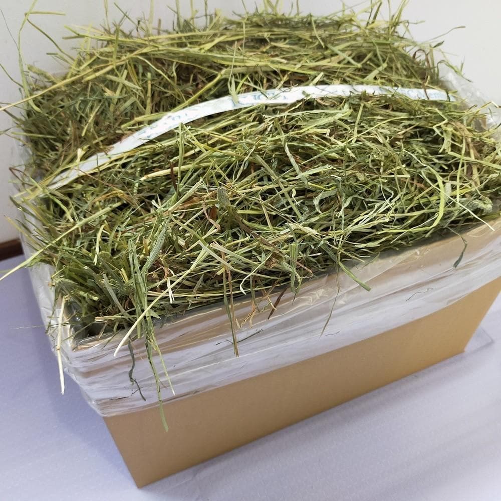 【処分価格】US産 チモシー 50kg ２番刈 ソフトSプレミアム