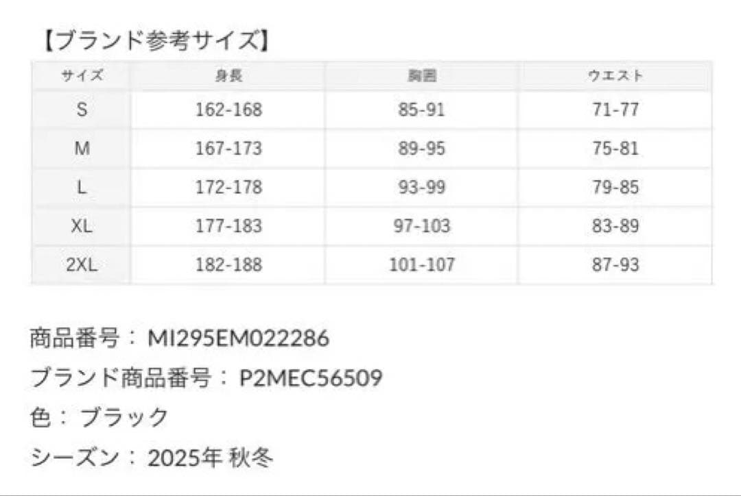 Mizuno ミズノ PRO OFF サーマルインシュレーションジャケット