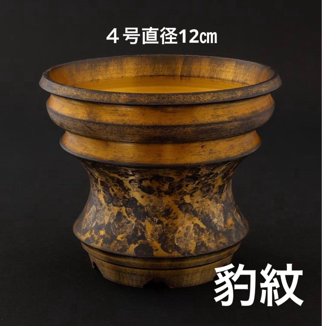 ペンギン様 牙城銀河　牙城溶岩　牙城鳳凰　螺旋青金　入道豹紋　４号直径12㎝