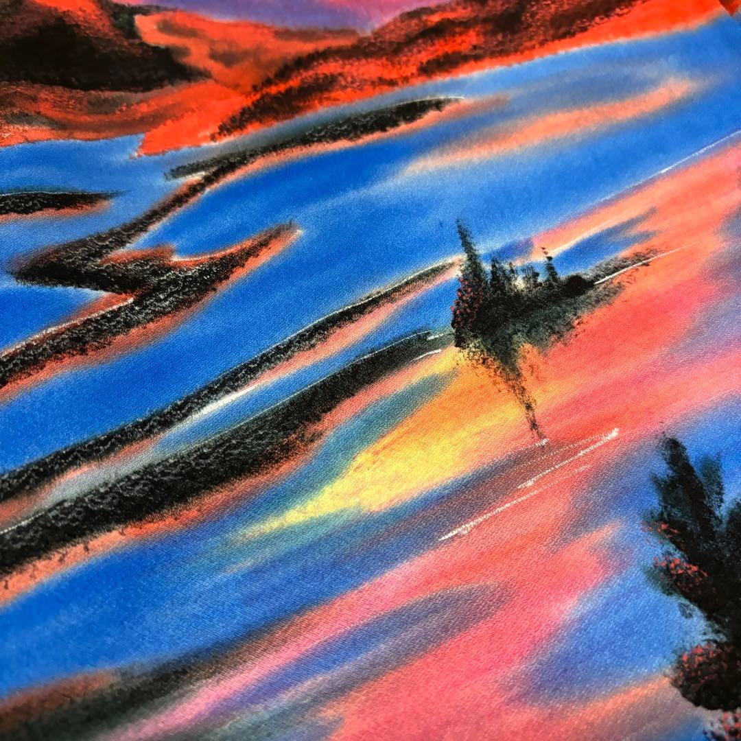 圧巻 訪問着 裄67 まるで絵画の様 素敵なデザイン 正絹 AK-3889