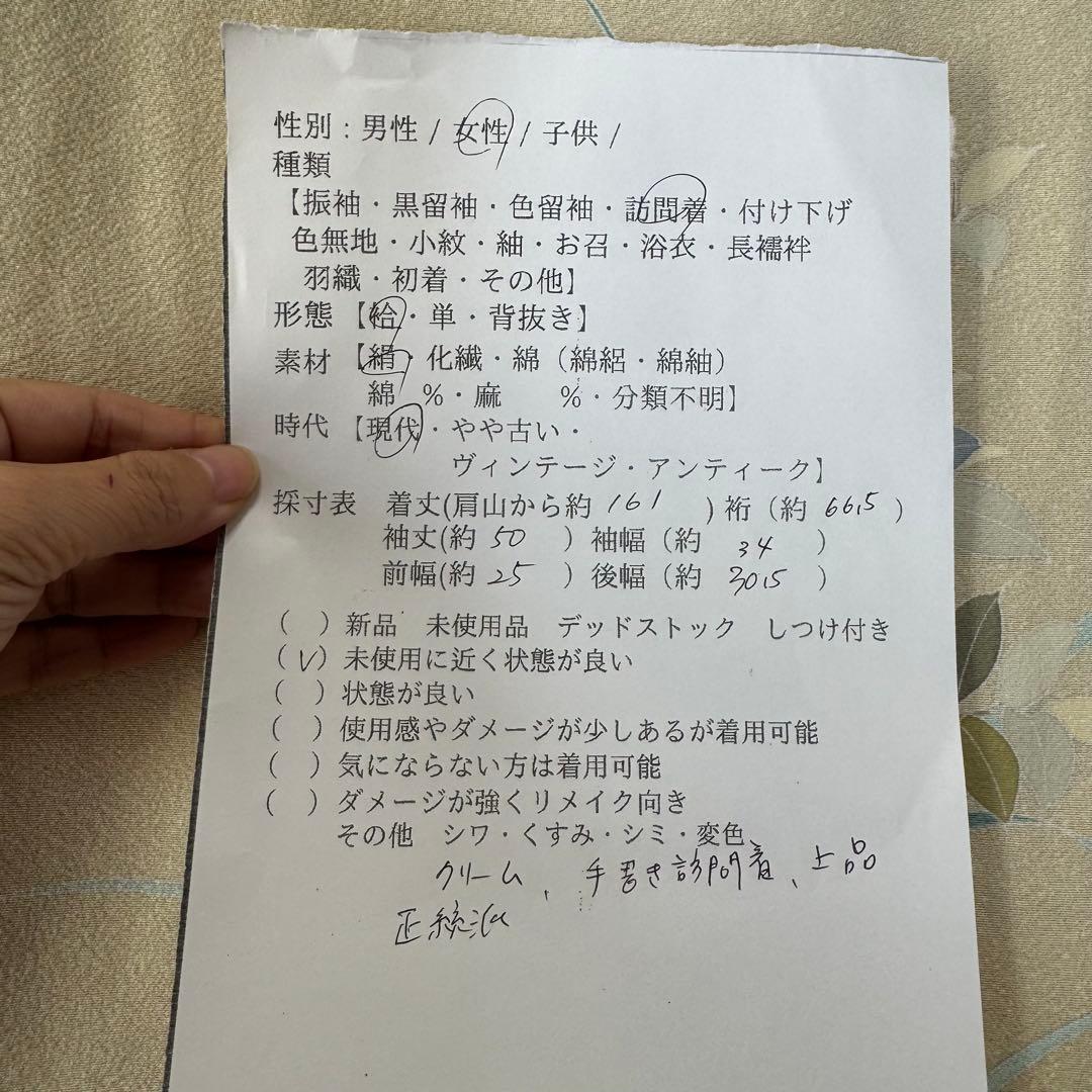 超美品　正絹　袷　訪問着　着物　着丈161　裄66　クリーム　黄緑　水色　ピンク