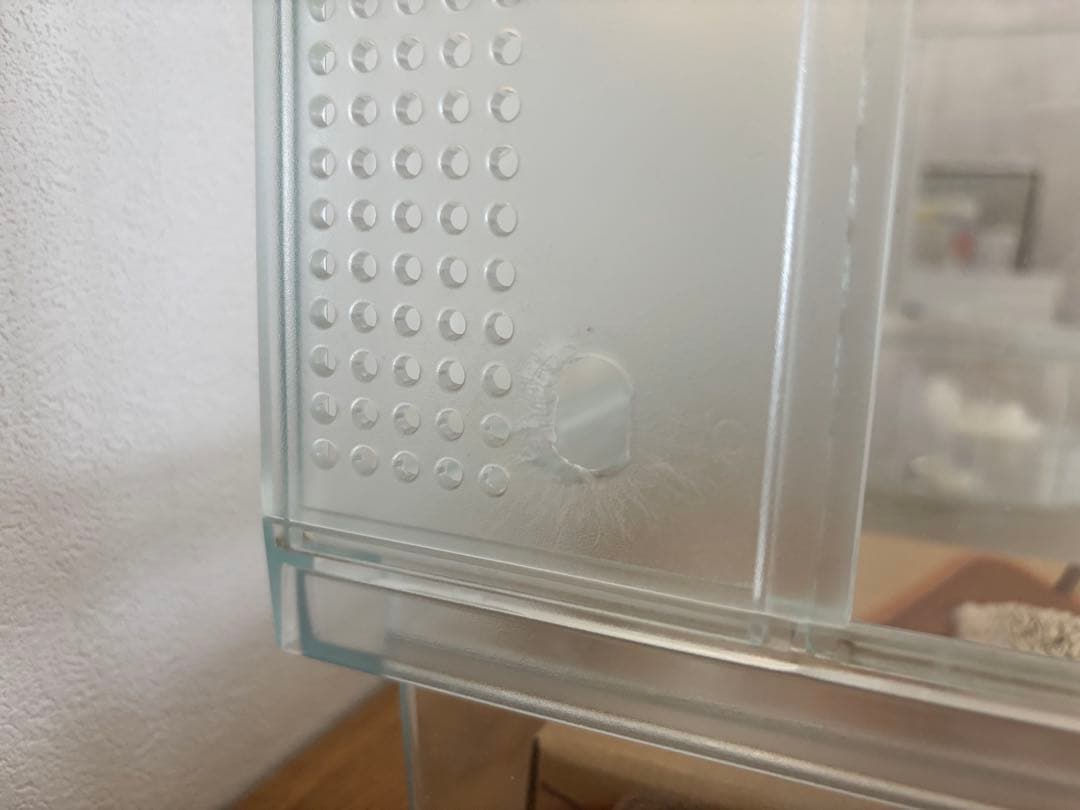 グラスハーモニー600 美品　おまけ付き