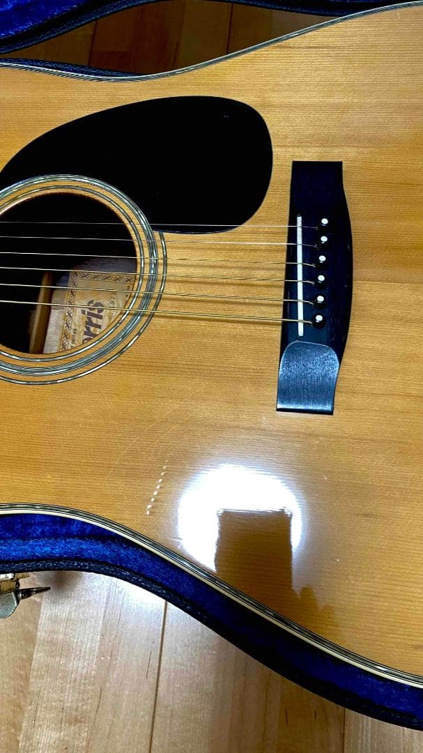 勇*悟様 値下げ希少❣人気種　1973年morris　W-40　ハカランダ！HC