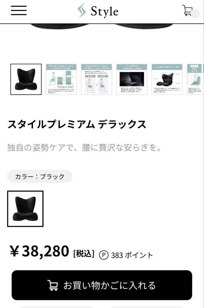 極美品Style PREMIUM DX 最上位モデル骨盤・姿勢矯正クッション