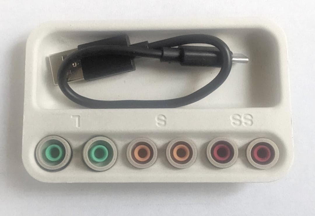 ソニーワイヤレスイヤホンWF-1000XM5S 右本体+充電器+付属品