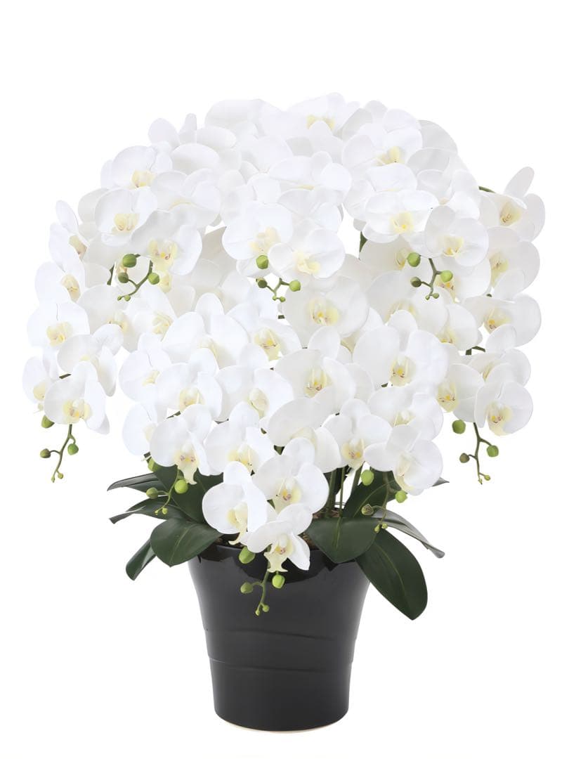 光触媒　人工観葉植物　フェイクグリーン　フレッシュ胡蝶蘭8本立Ｗ 高さ75cm