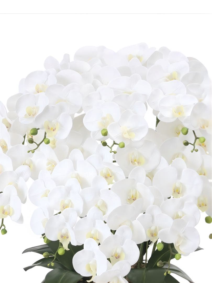 光触媒　人工観葉植物　フェイクグリーン　フレッシュ胡蝶蘭8本立Ｗ 高さ75cm