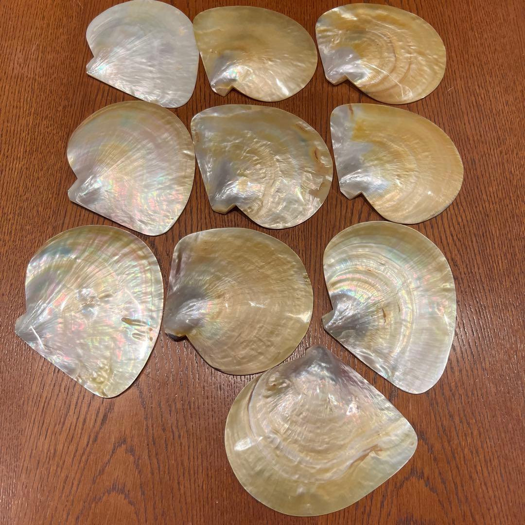 美品　オーストラリア産　磨き　シロチョウガイ　10枚セット　貝ボタン