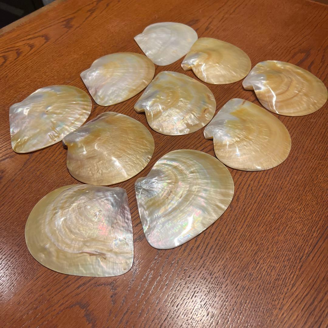 美品　オーストラリア産　磨き　シロチョウガイ　10枚セット　貝ボタン