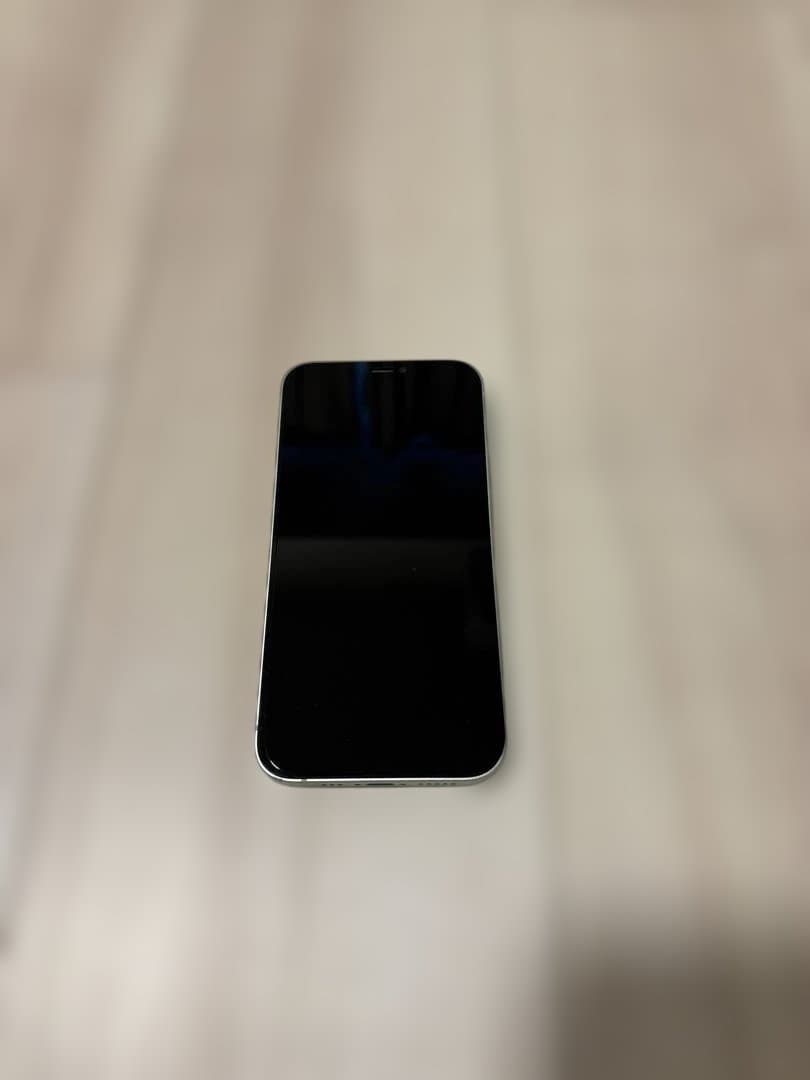 【ジャンク品】Apple iPhone 12 ミントグリーン 本体　128GB
