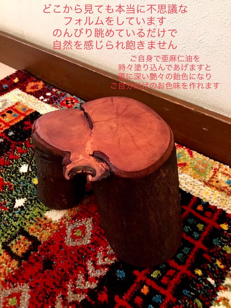 希少縁起木！天然木斛【年輪2つ！森と大自然の切り株飾り台】インテリア台＊植物台