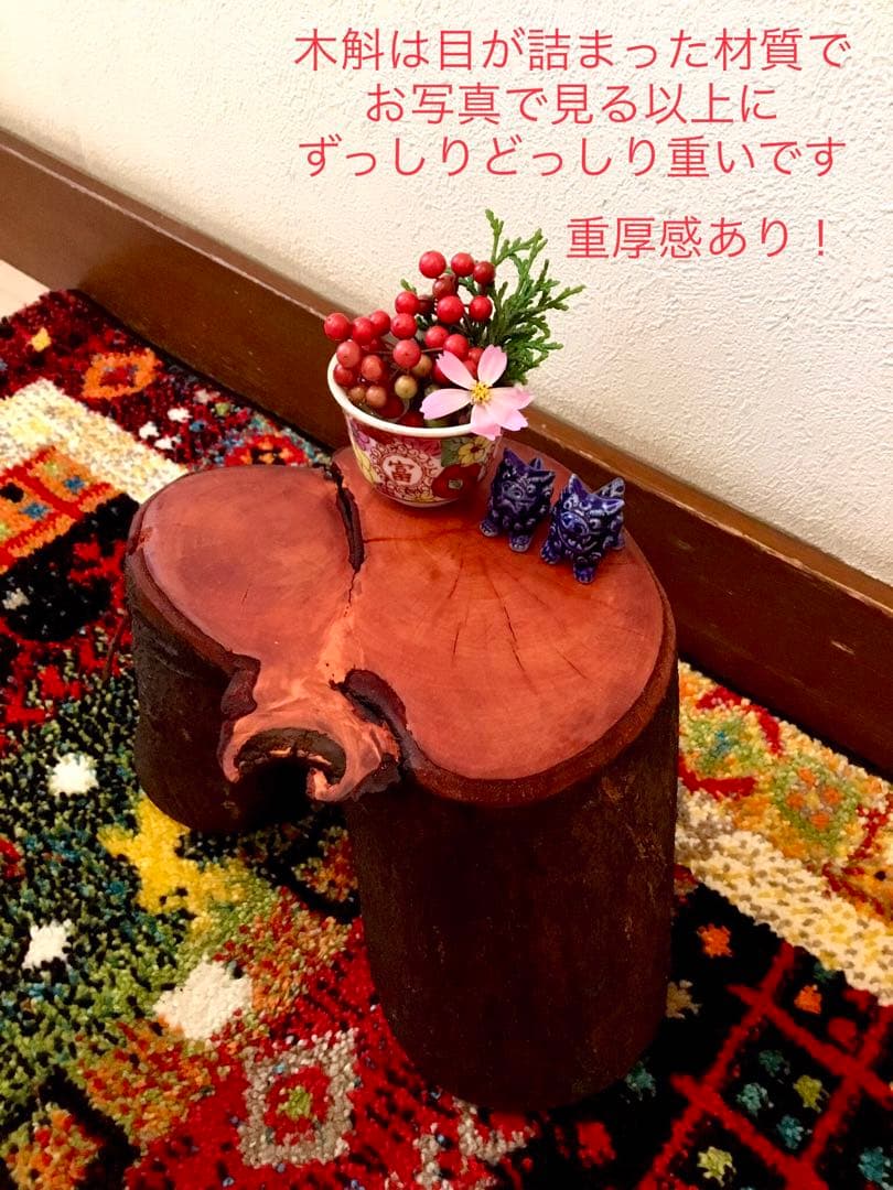 希少縁起木！天然木斛【年輪2つ！森と大自然の切り株飾り台】インテリア台＊植物台