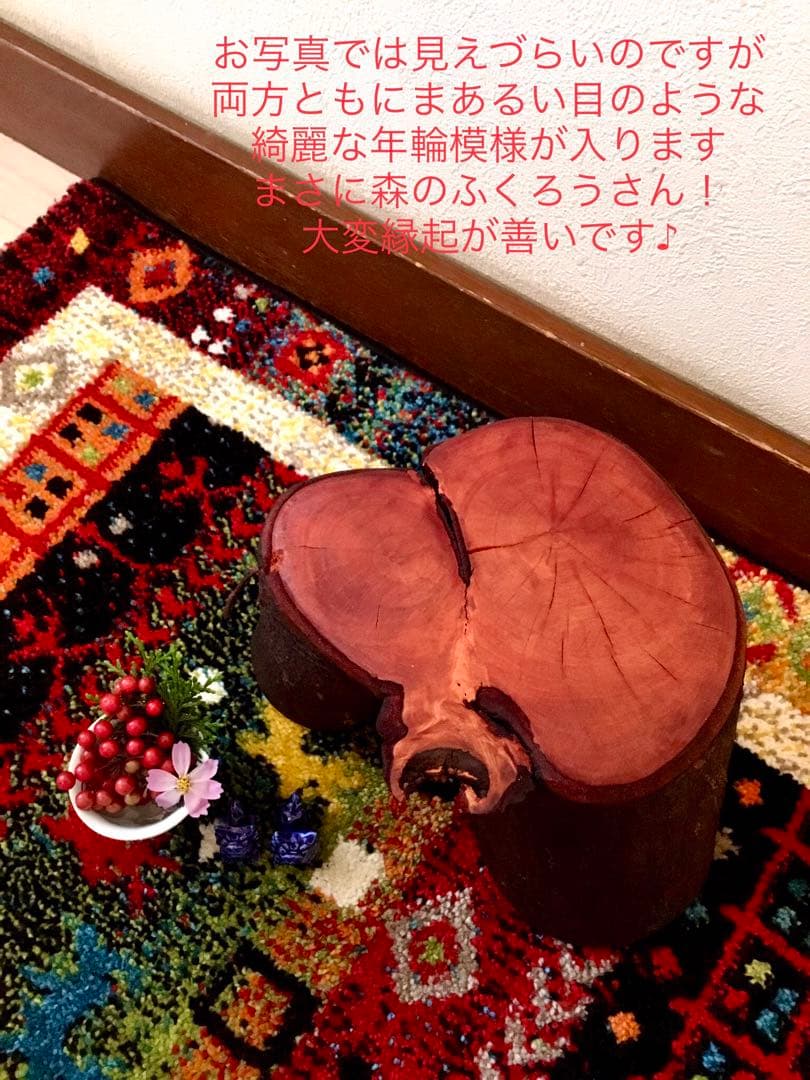 希少縁起木！天然木斛【年輪2つ！森と大自然の切り株飾り台】インテリア台＊植物台