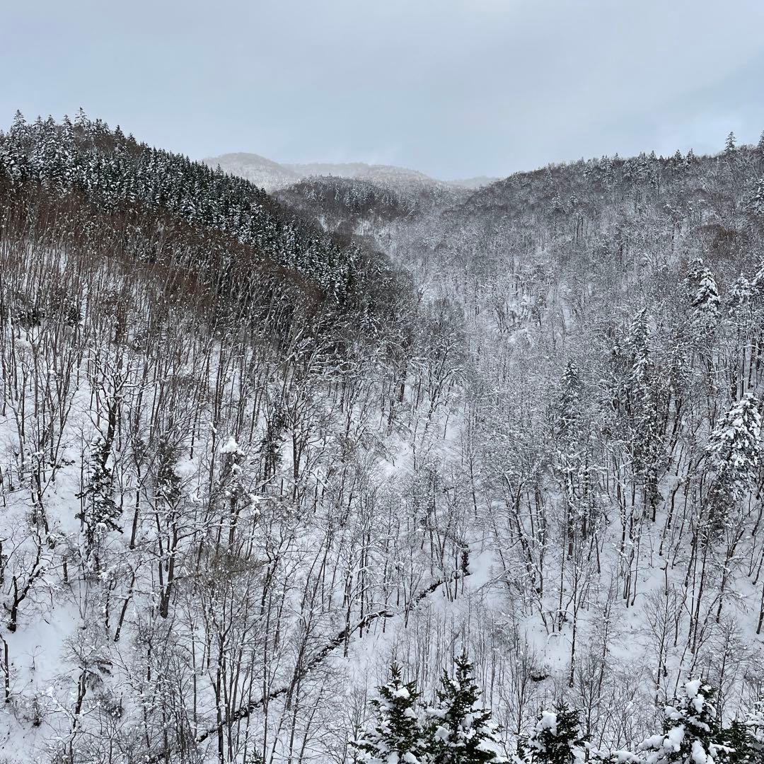 鹿ジャーキー犬用２キロ＆鹿ジャーキー犬用800gアキレス腱