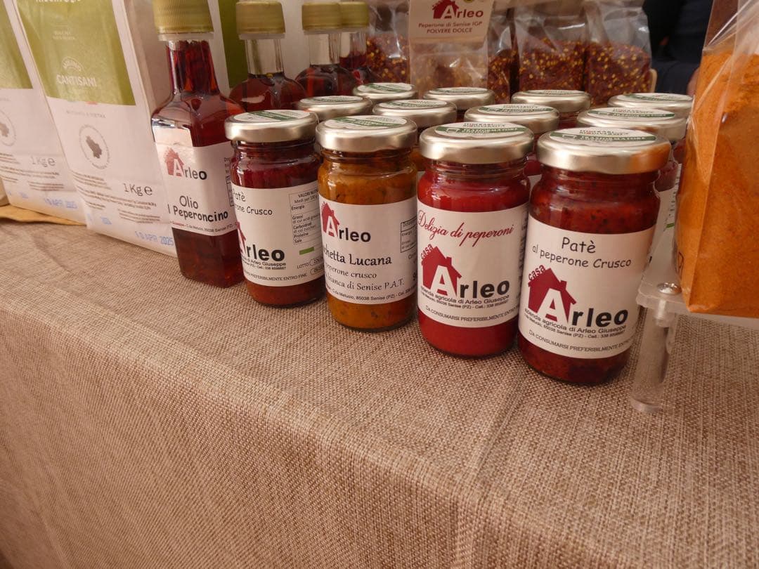 LUMIX DC-TZ95 本体、バッテリー、カメラケースのみ