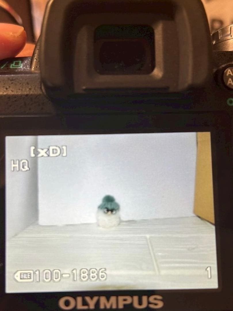 ショット数2002回✨Olympus E-510 発表会 野外撮影に❣️