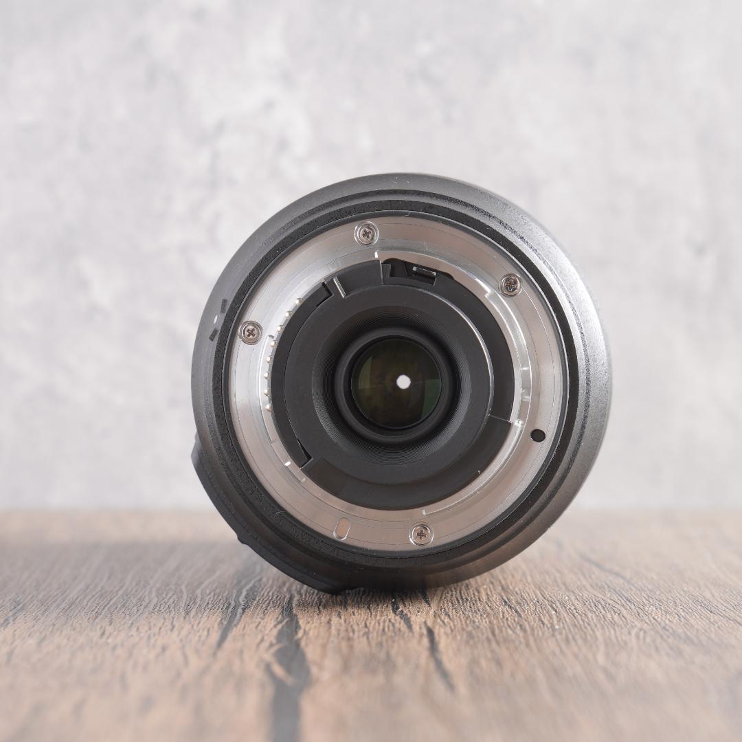 はち　Nikon D5500＋NIKKOR 55-300mm 223-1