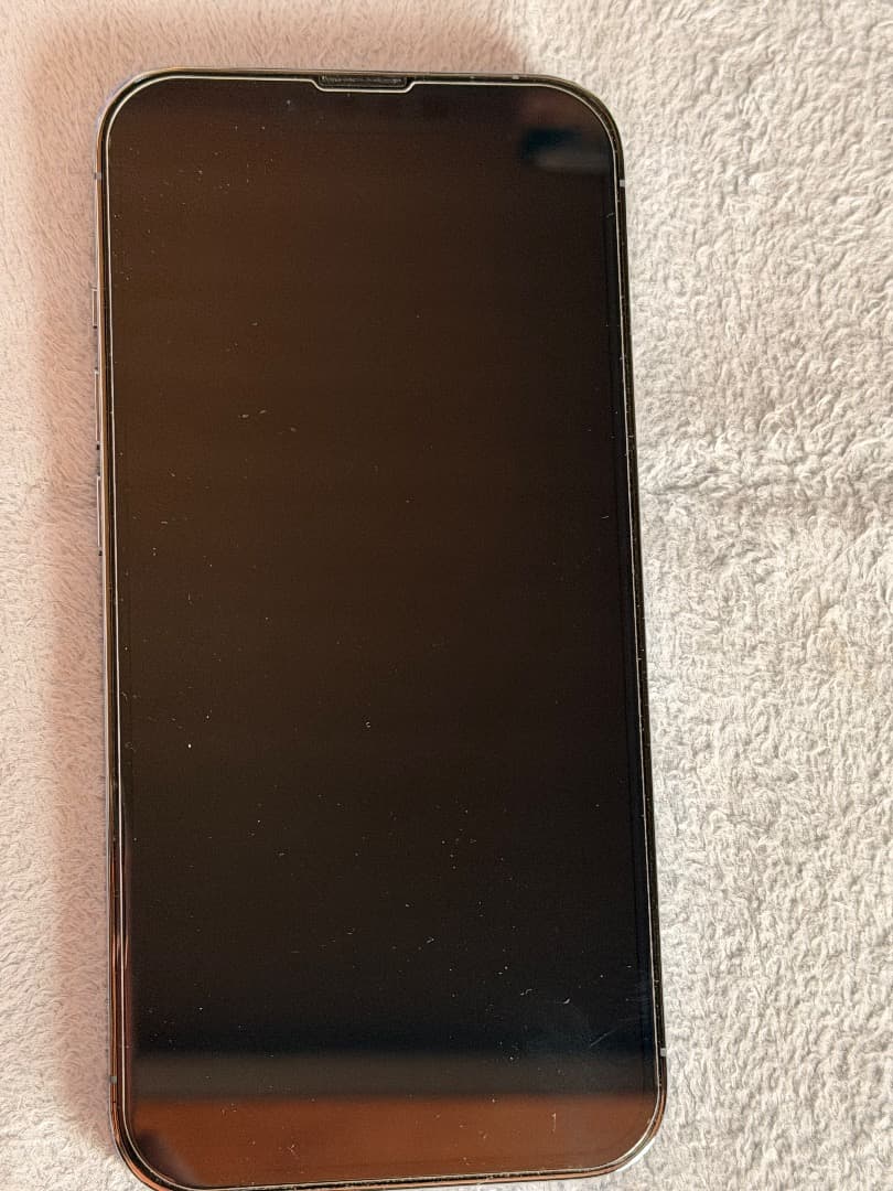 激安！早い者勝ち　iPhone13pro シエラブルー　256GB SIMフリー