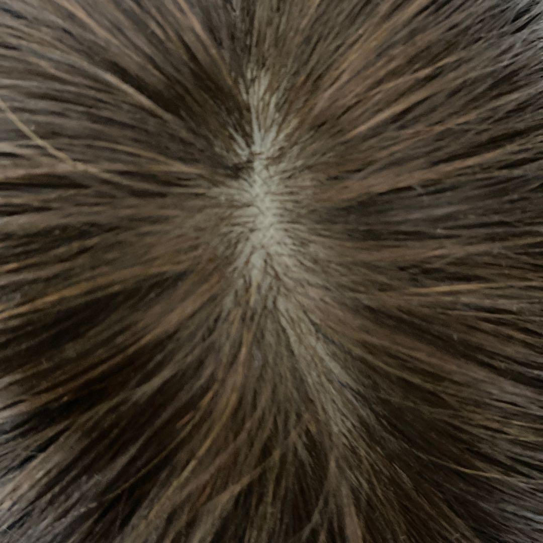 人毛ウィッグ　人毛100%