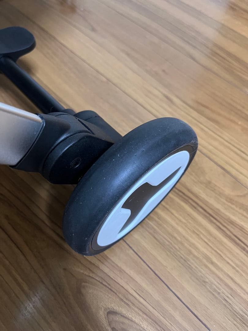 ピッコロカーネ BENE ペットカート