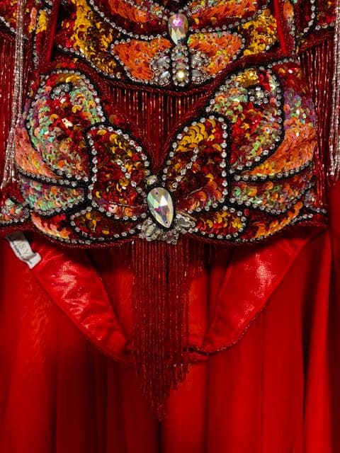 ベリーダンス ISIS YO Belly Dance Costume