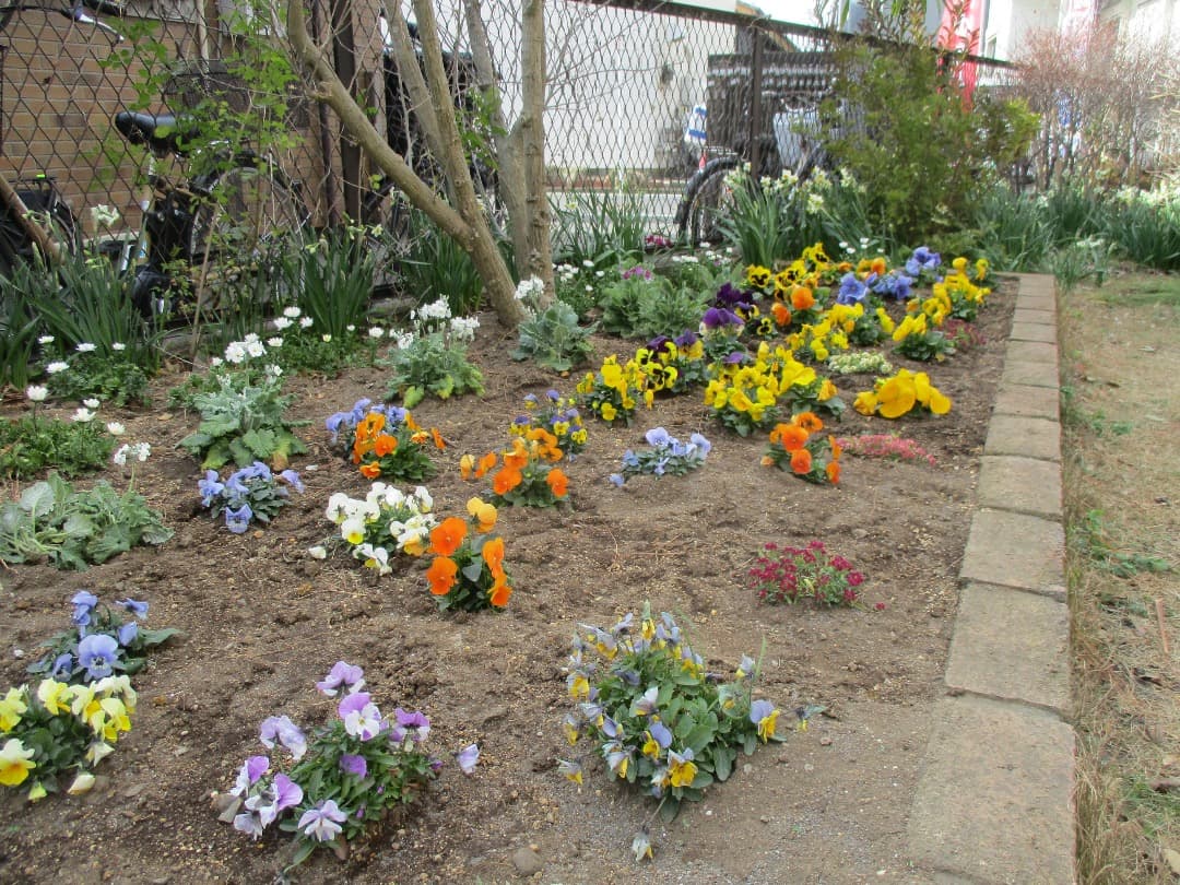 実写美⭕️訳あり【動作確認済】 CANON IXY180 レッド キヤノン