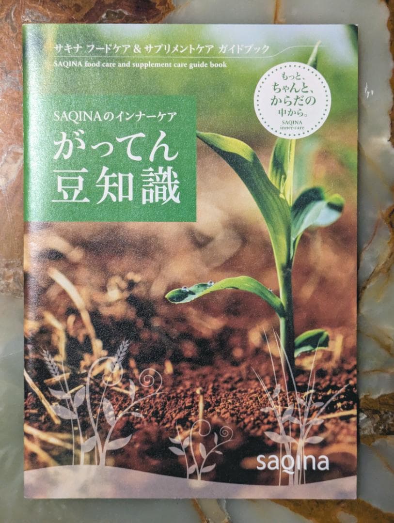 ボディ・フェイスケア saqina pino steamer & tesla / cleaner