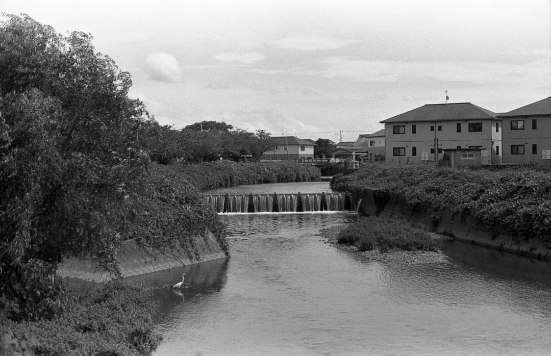 【整備済完動品・美品】PENTAX K1000 RIKENON 50mm F2