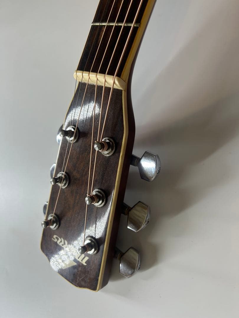 Morris m-501 アコースティックギター