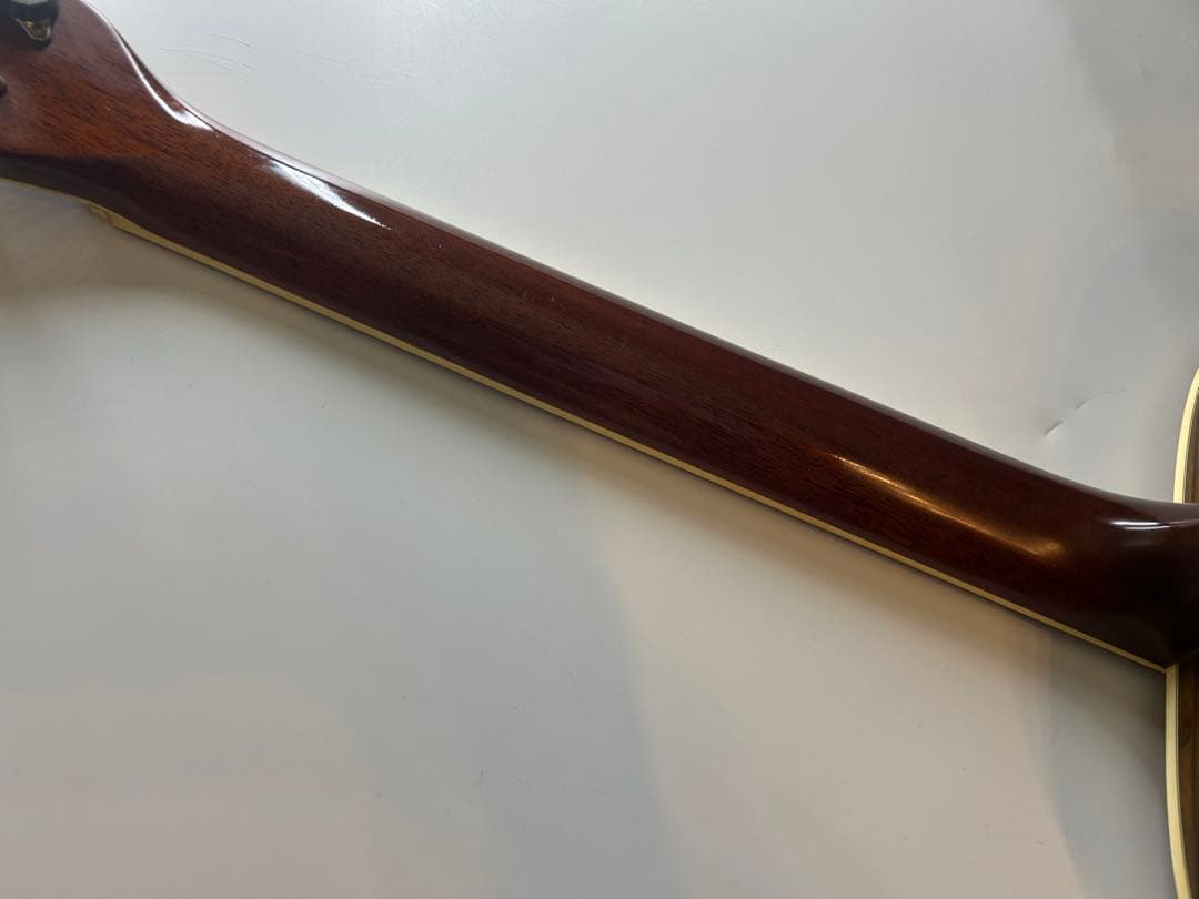 Morris m-501 アコースティックギター